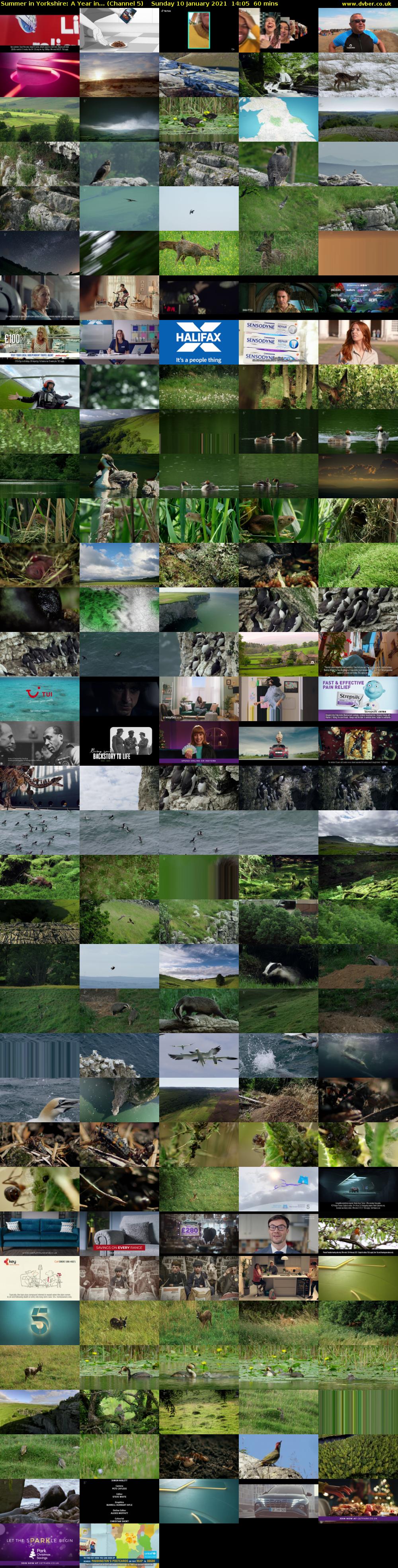 Summer in Yorkshire: A Year in... (Channel 5) Sunday 10 January 2021 14:05 - 15:05