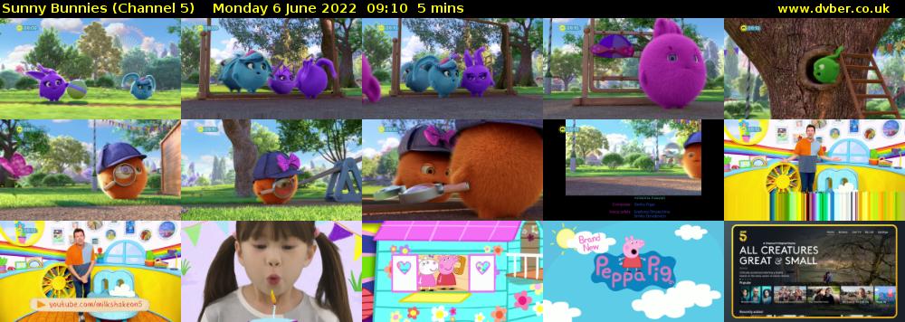 Sunny Bunnies (Channel 5) Monday 6 June 2022 09:10 - 09:15