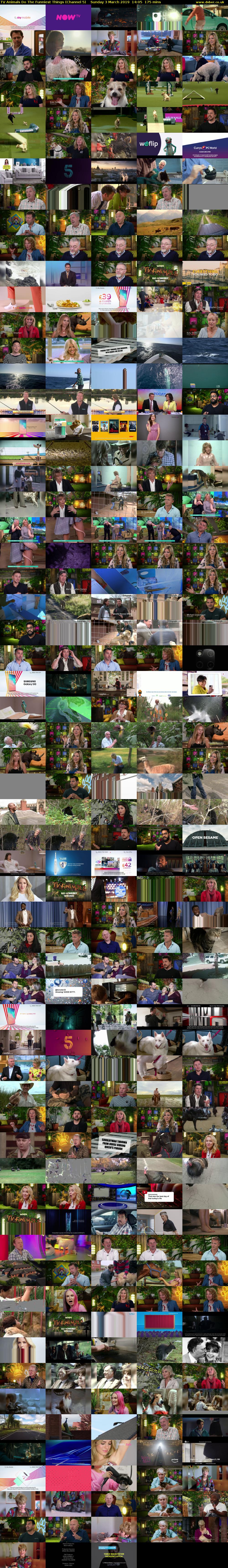 TV Animals Do The Funniest Things (Channel 5) Sunday 3 March 2019 14:05 - 17:00