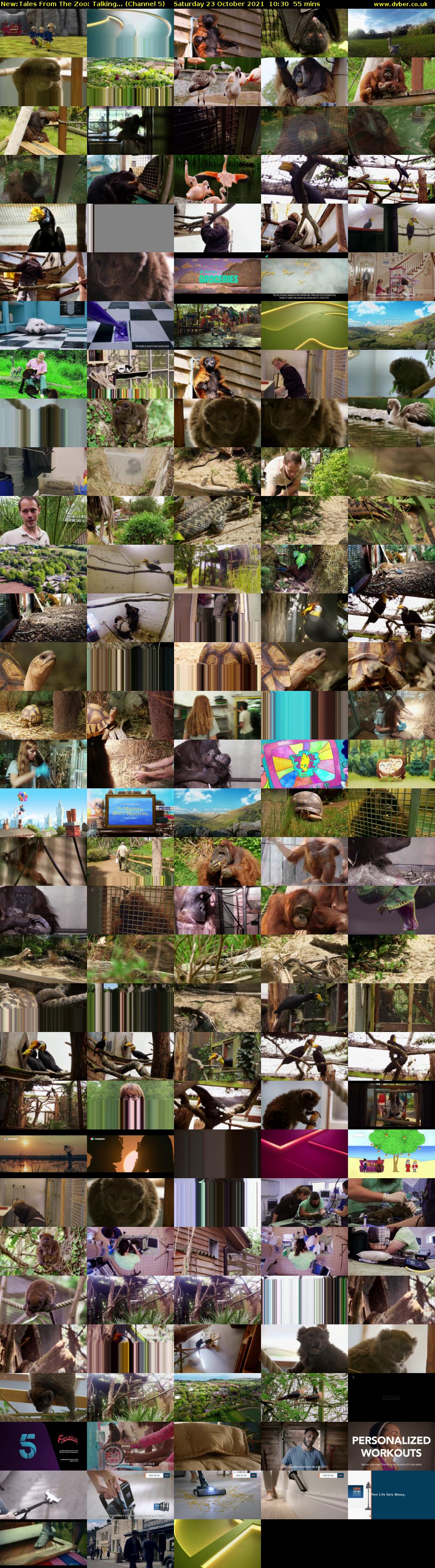 Tales From The Zoo: Talking... (Channel 5) Saturday 23 October 2021 10:30 - 11:25