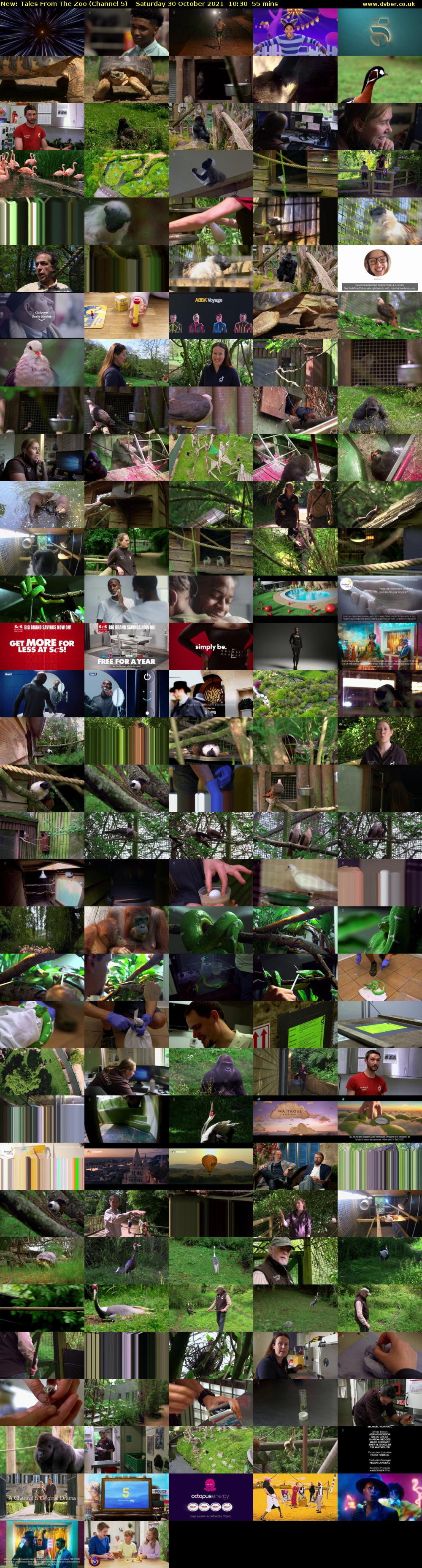 Tales From The Zoo (Channel 5) Saturday 30 October 2021 10:30 - 11:25
