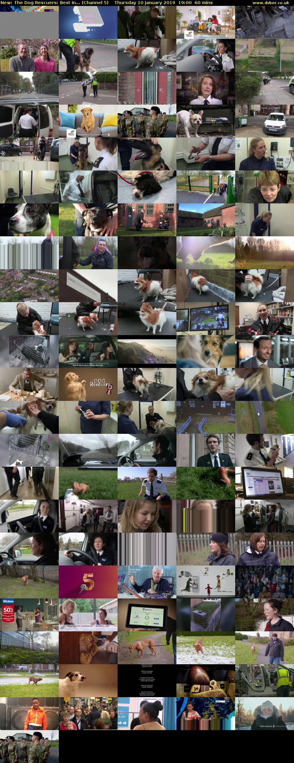 The Dog Rescuers: Best In... (Channel 5) Thursday 10 January 2019 19:00 - 20:00