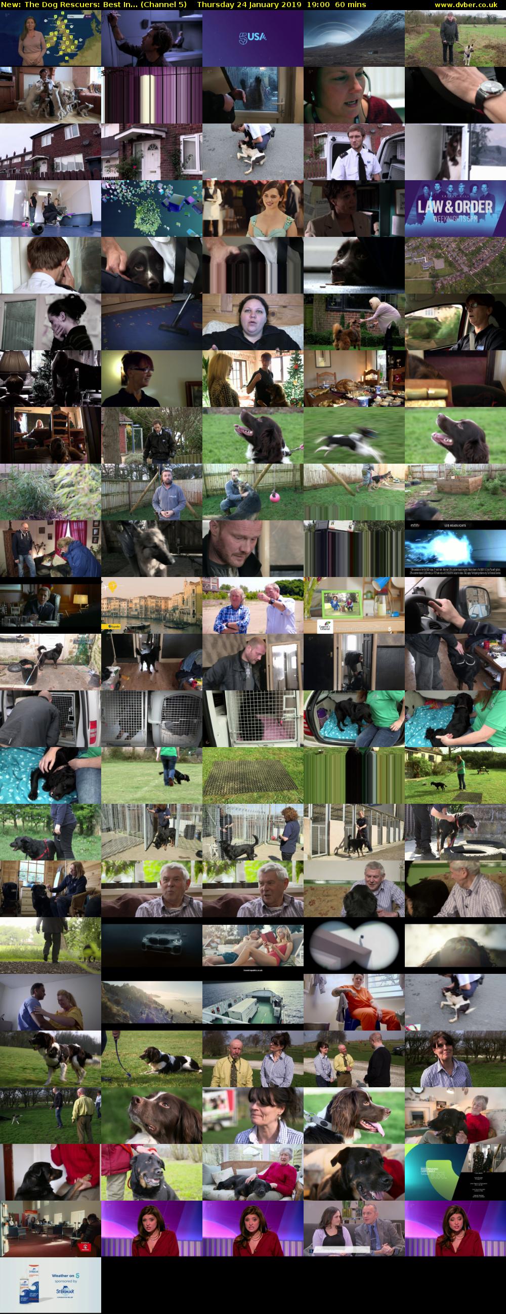 The Dog Rescuers: Best In... (Channel 5) Thursday 24 January 2019 19:00 - 20:00