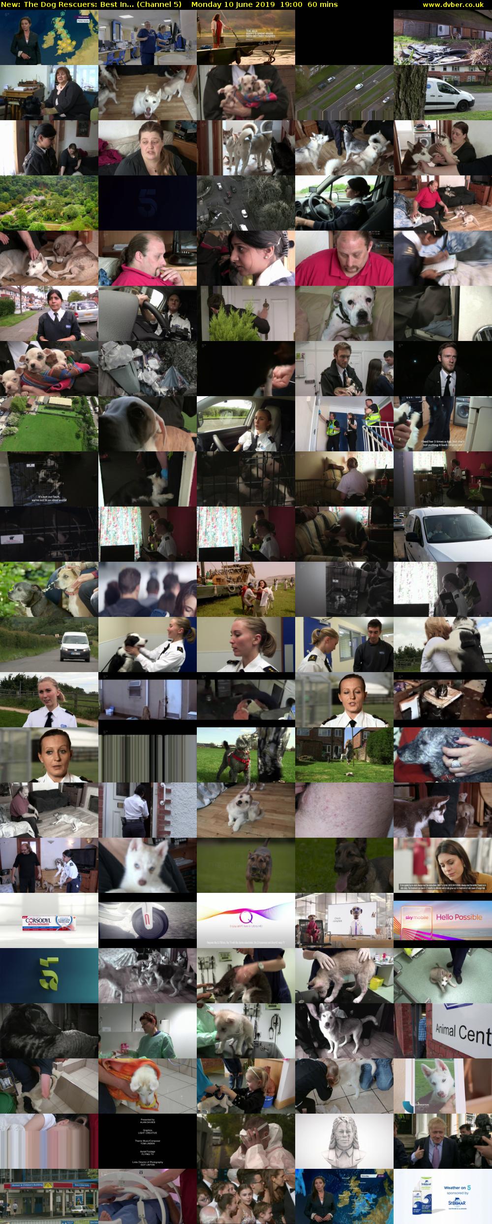 The Dog Rescuers: Best In... (Channel 5) Monday 10 June 2019 19:00 - 20:00