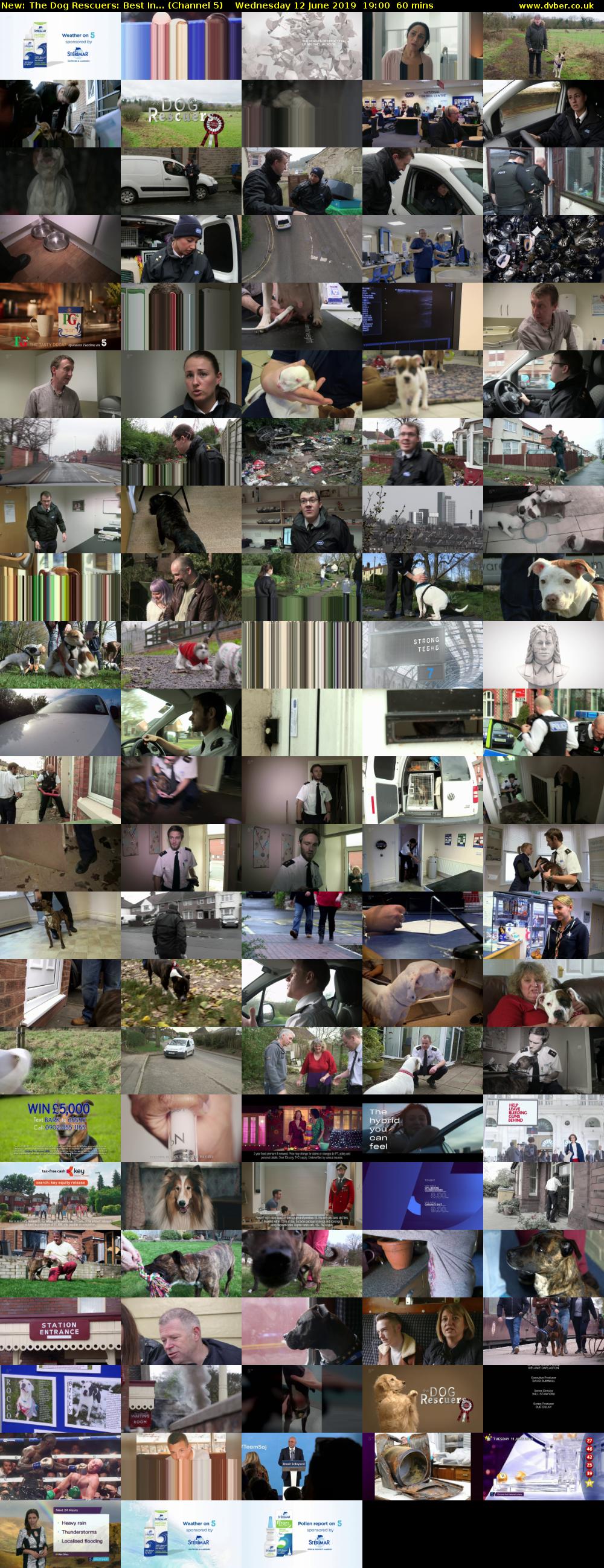 The Dog Rescuers: Best In... (Channel 5) Wednesday 12 June 2019 19:00 - 20:00