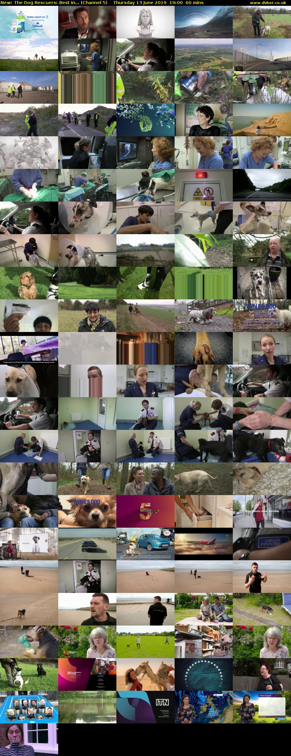 The Dog Rescuers: Best In... (Channel 5) Thursday 13 June 2019 19:00 - 20:00