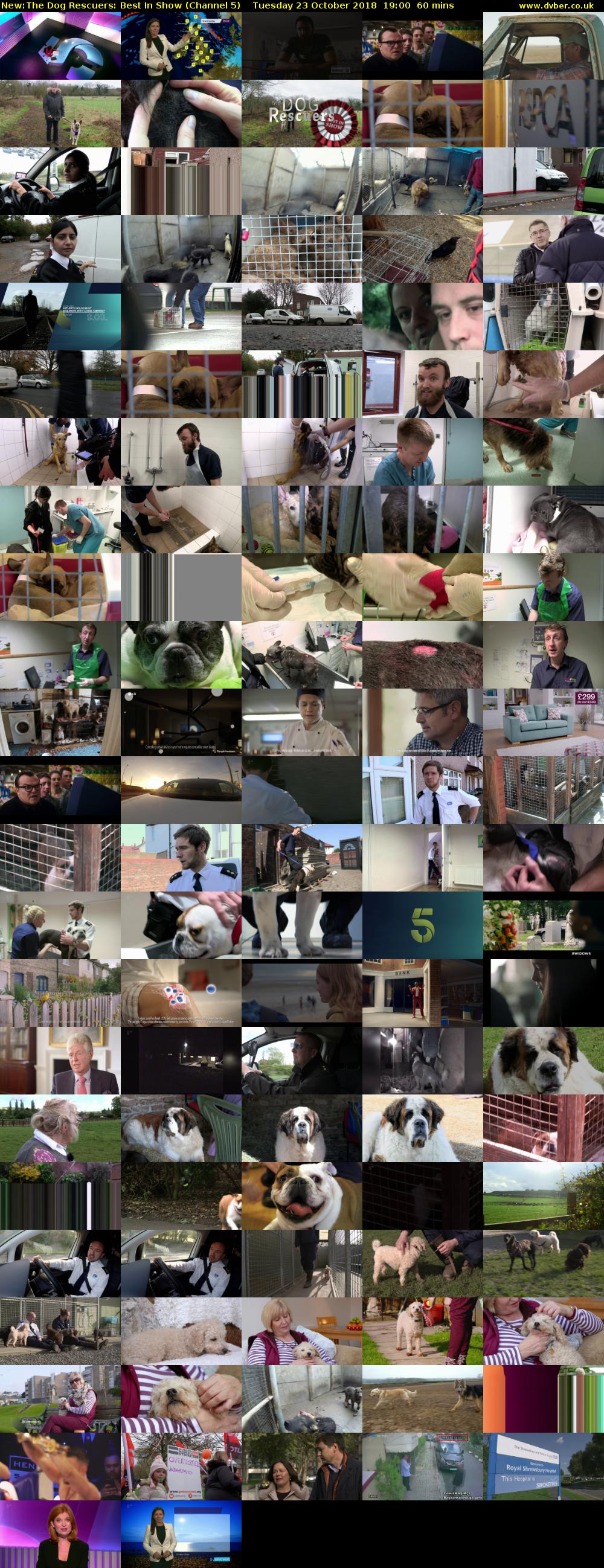 The Dog Rescuers: Best In Show (Channel 5) Tuesday 23 October 2018 19:00 - 20:00