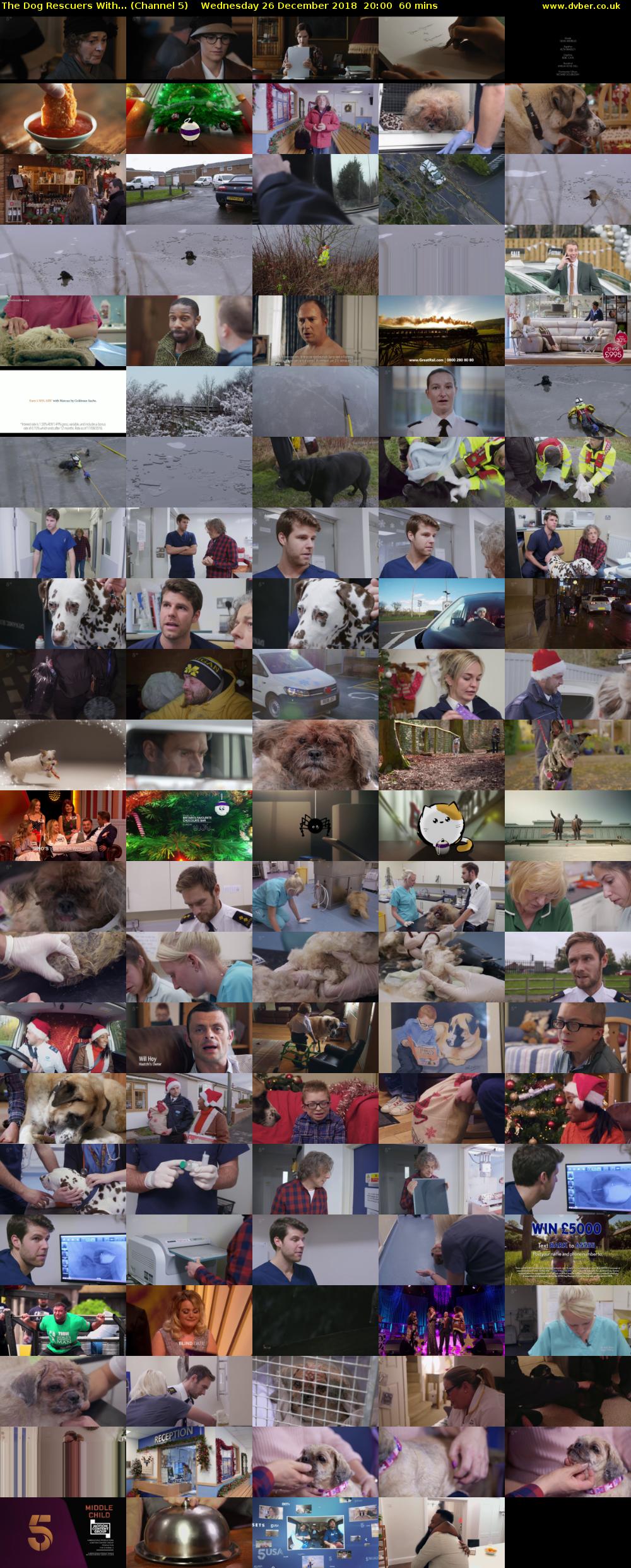 The Dog Rescuers With... (Channel 5) Wednesday 26 December 2018 20:00 - 21:00