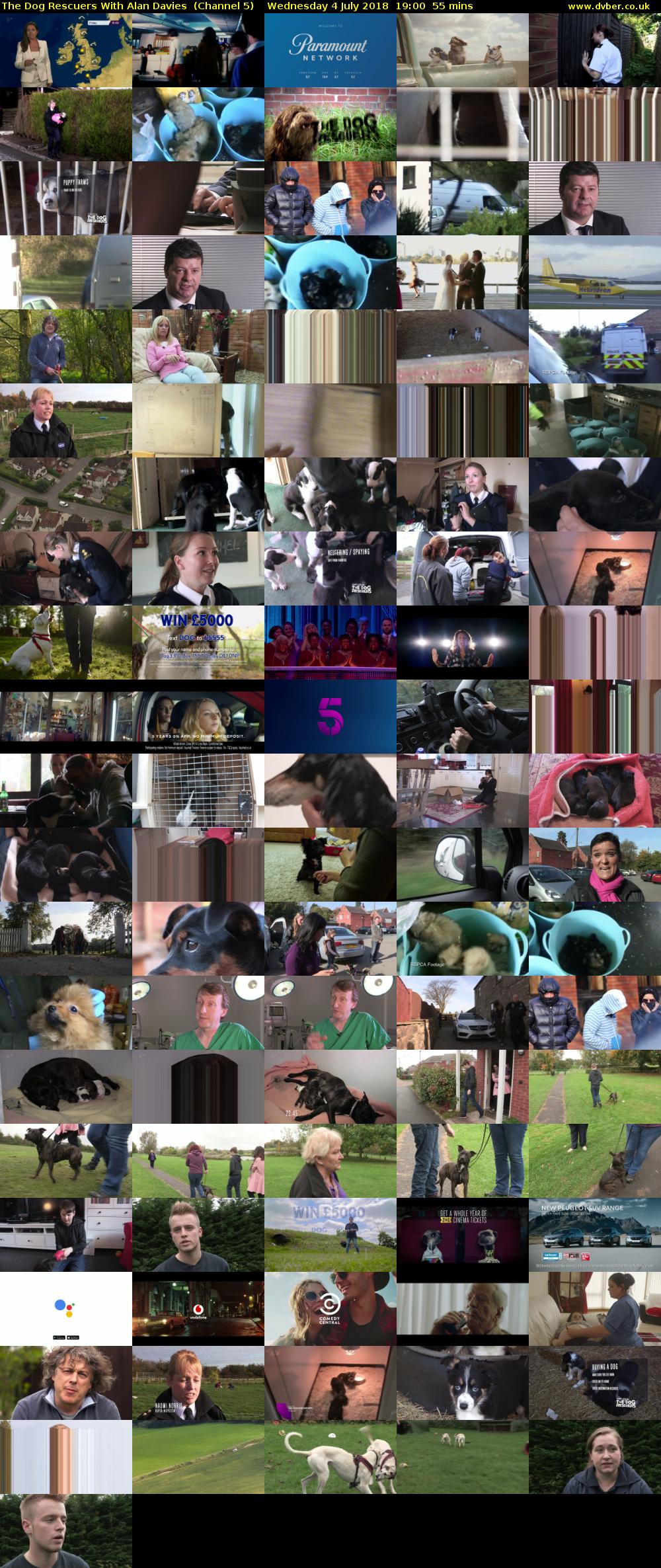 The Dog Rescuers With Alan Davies  (Channel 5) Wednesday 4 July 2018 19:00 - 19:55