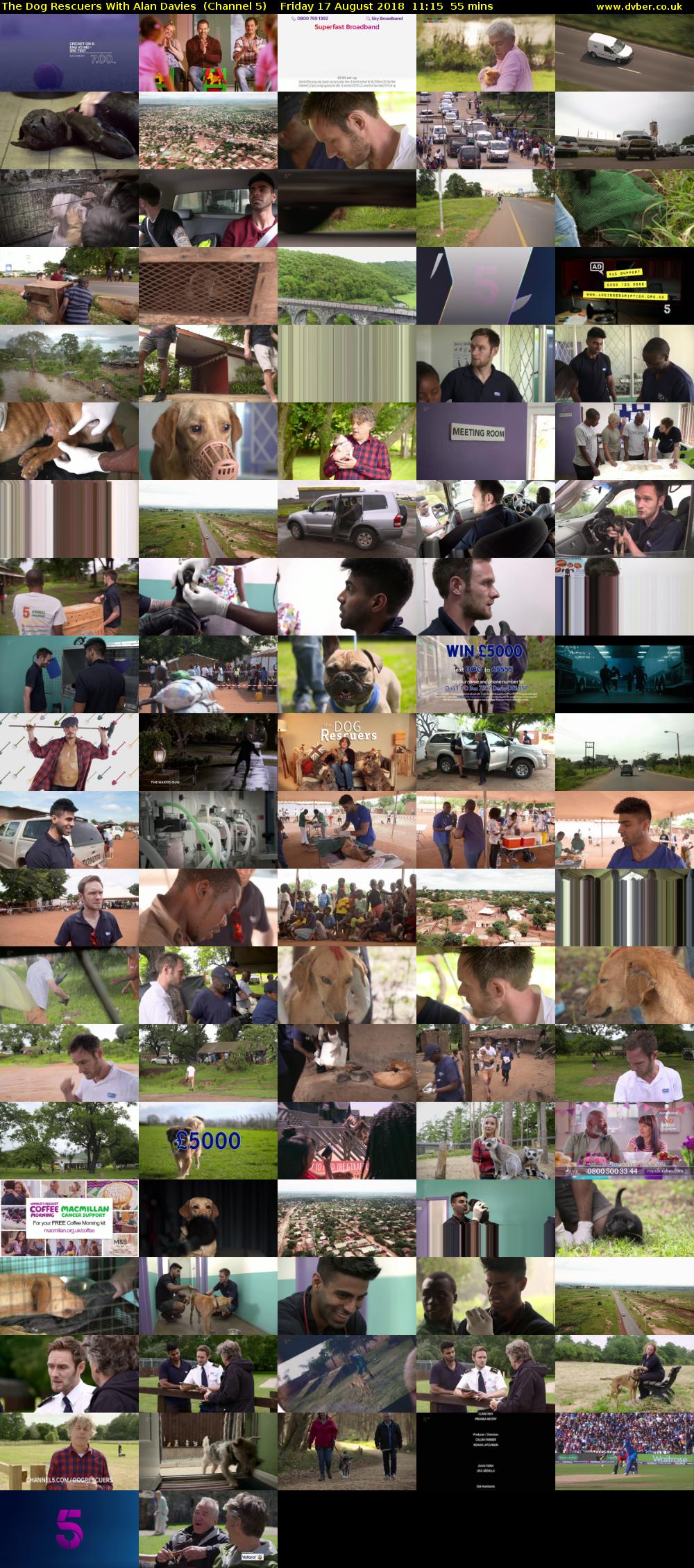 The Dog Rescuers With Alan Davies  (Channel 5) Friday 17 August 2018 11:15 - 12:10
