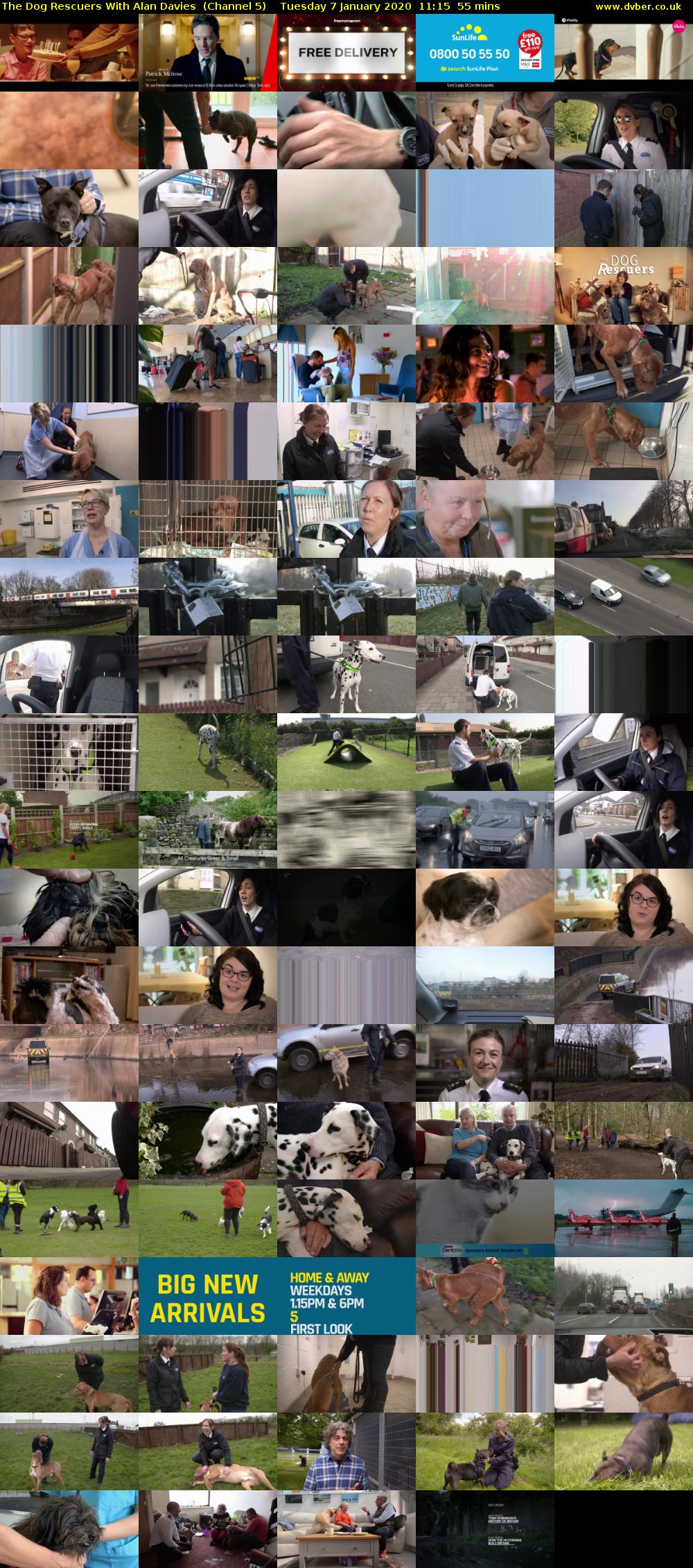 The Dog Rescuers With Alan Davies  (Channel 5) Tuesday 7 January 2020 11:15 - 12:10
