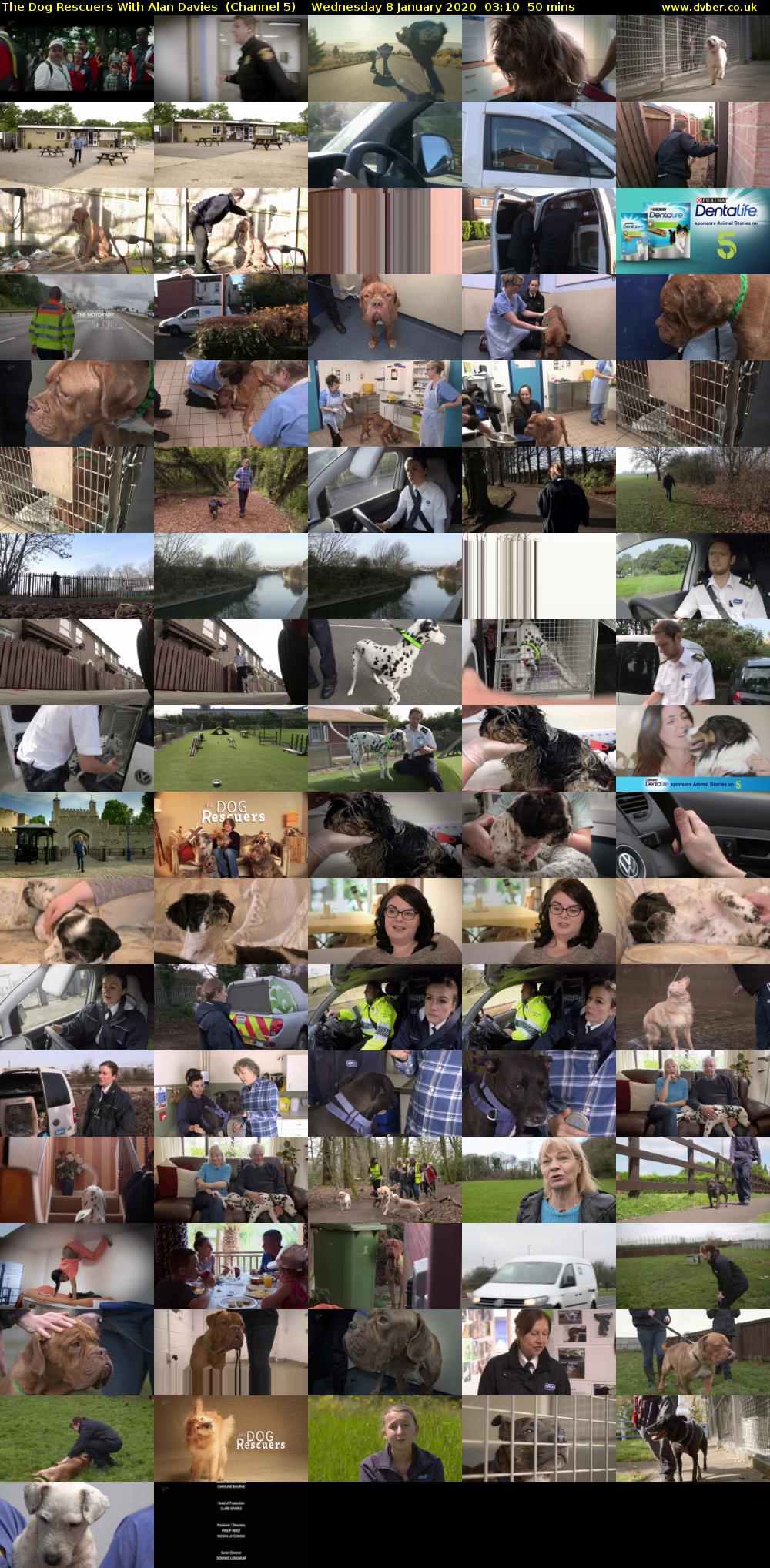 The Dog Rescuers With Alan Davies  (Channel 5) Wednesday 8 January 2020 03:10 - 04:00
