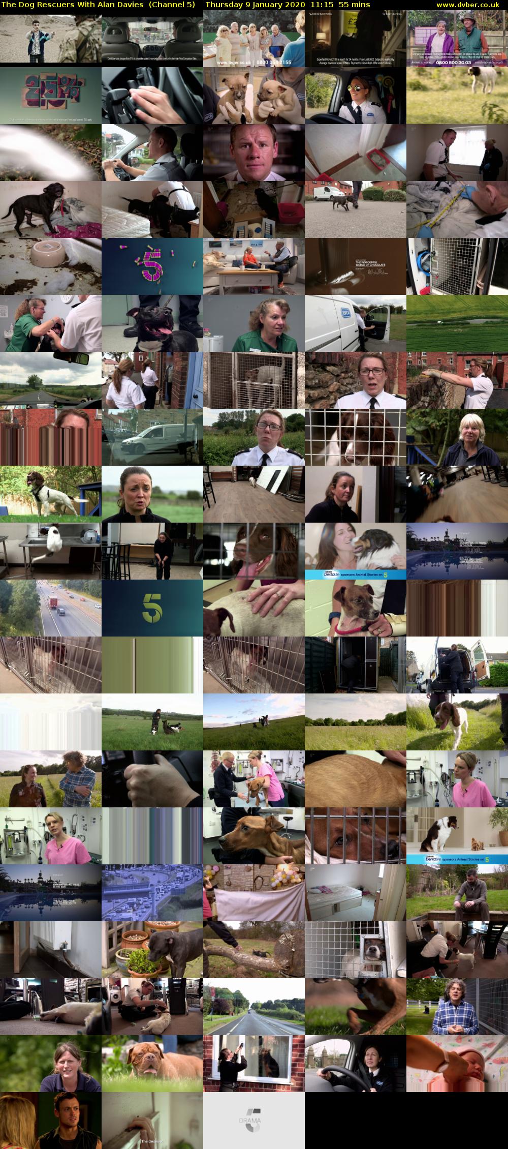 The Dog Rescuers With Alan Davies  (Channel 5) Thursday 9 January 2020 11:15 - 12:10