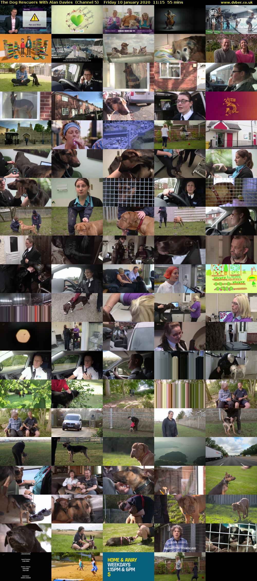 The Dog Rescuers With Alan Davies  (Channel 5) Friday 10 January 2020 11:15 - 12:10