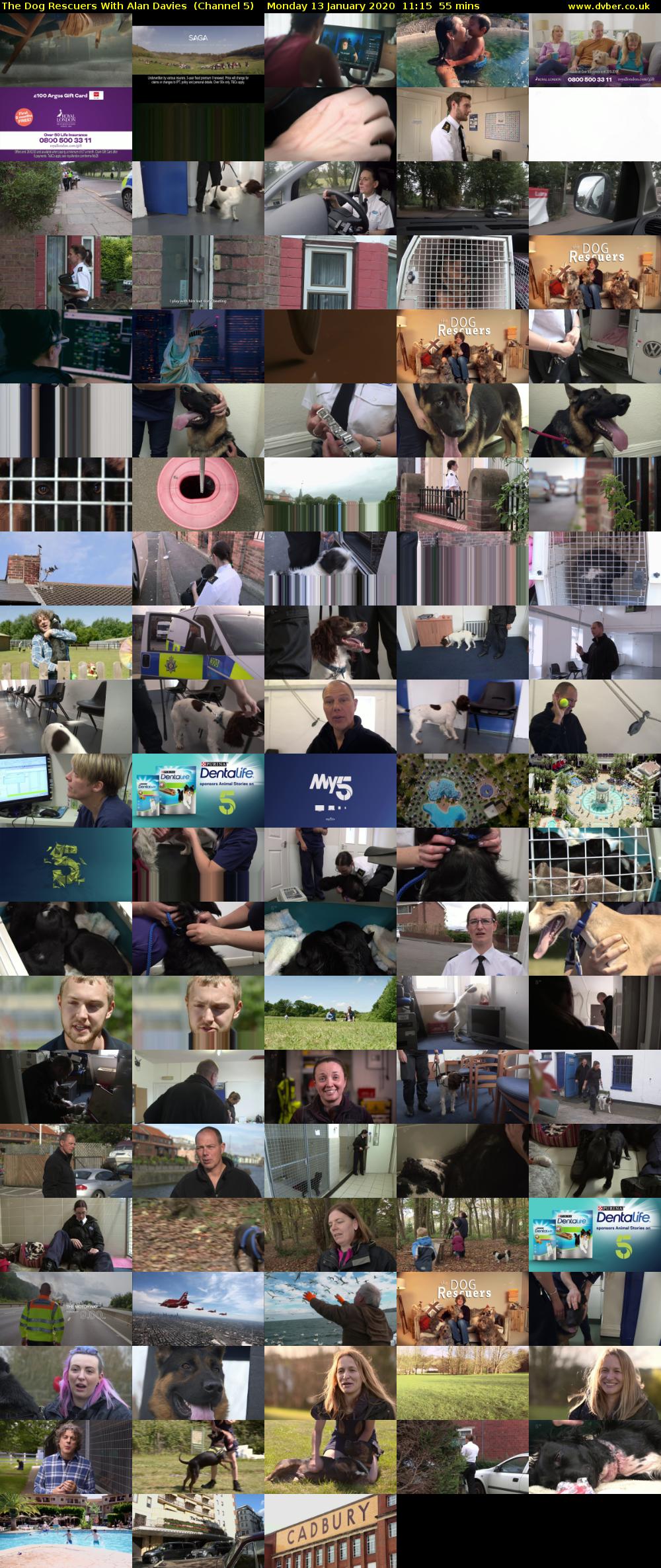 The Dog Rescuers With Alan Davies  (Channel 5) Monday 13 January 2020 11:15 - 12:10