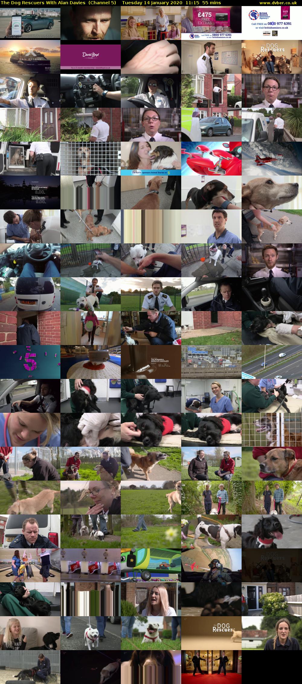 The Dog Rescuers With Alan Davies  (Channel 5) Tuesday 14 January 2020 11:15 - 12:10