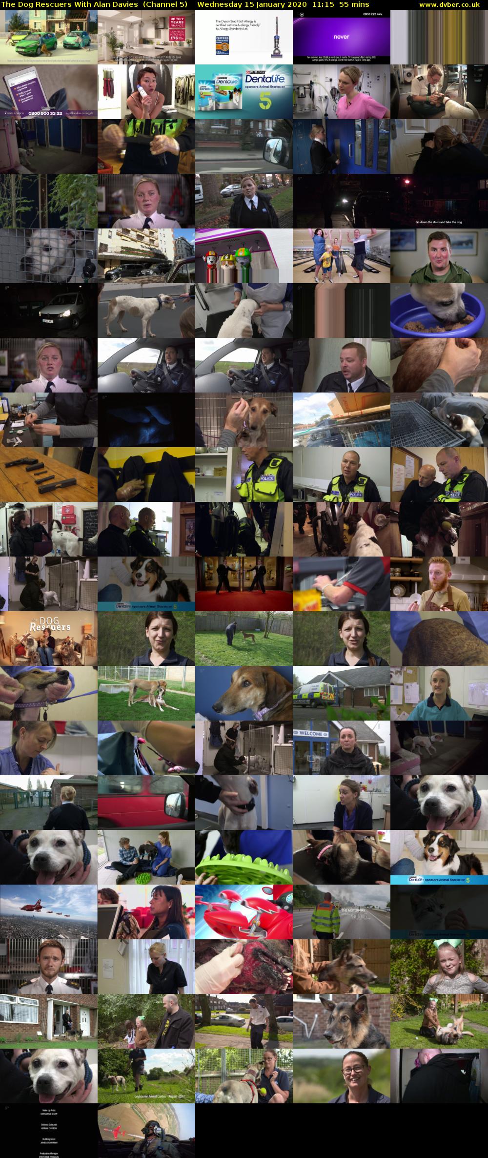 The Dog Rescuers With Alan Davies  (Channel 5) Wednesday 15 January 2020 11:15 - 12:10