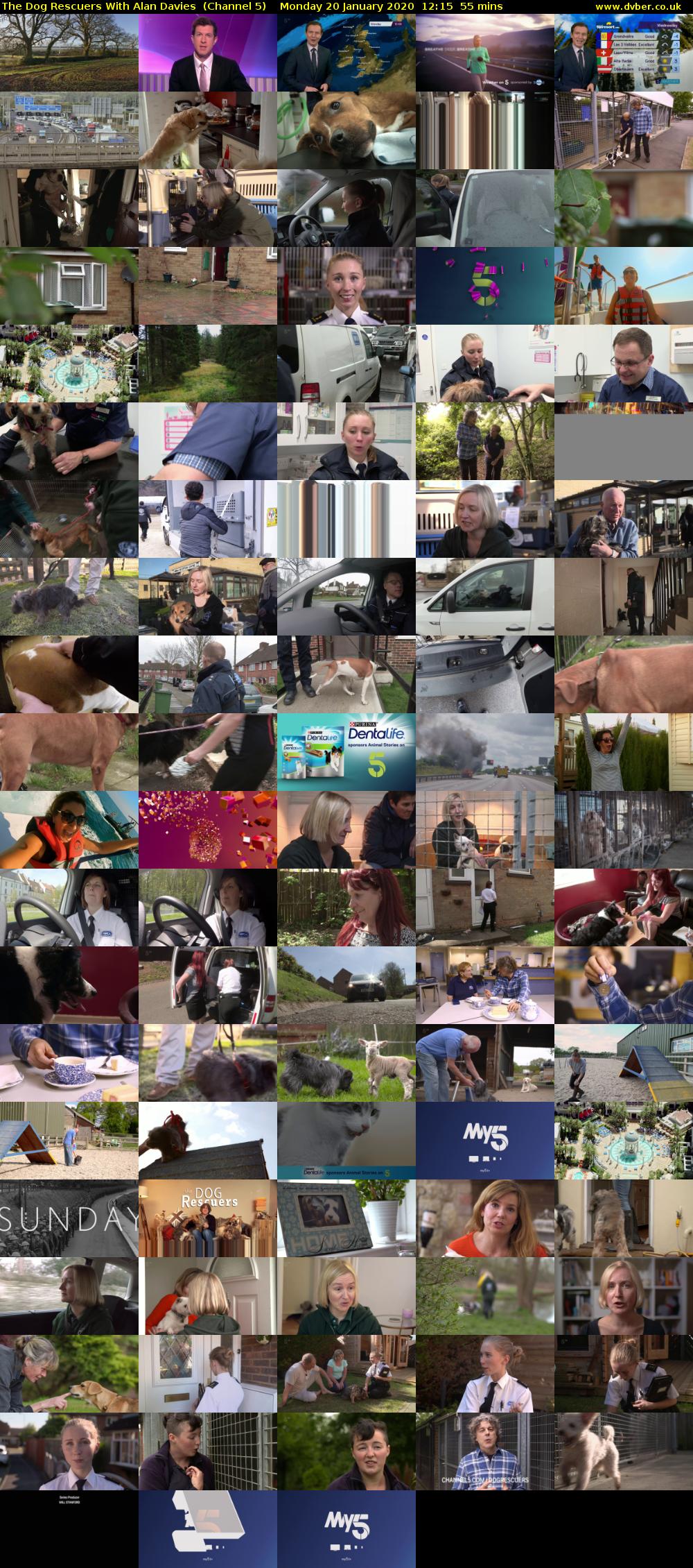 The Dog Rescuers With Alan Davies  (Channel 5) Monday 20 January 2020 12:15 - 13:10