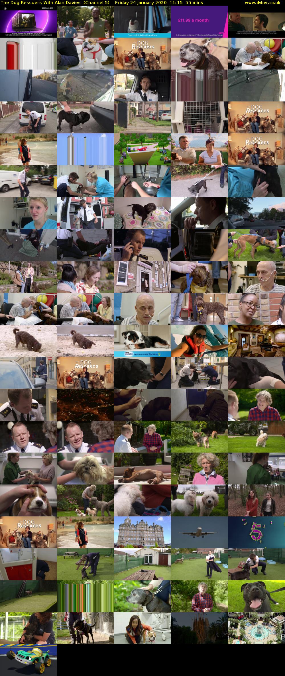 The Dog Rescuers With Alan Davies  (Channel 5) Friday 24 January 2020 11:15 - 12:10