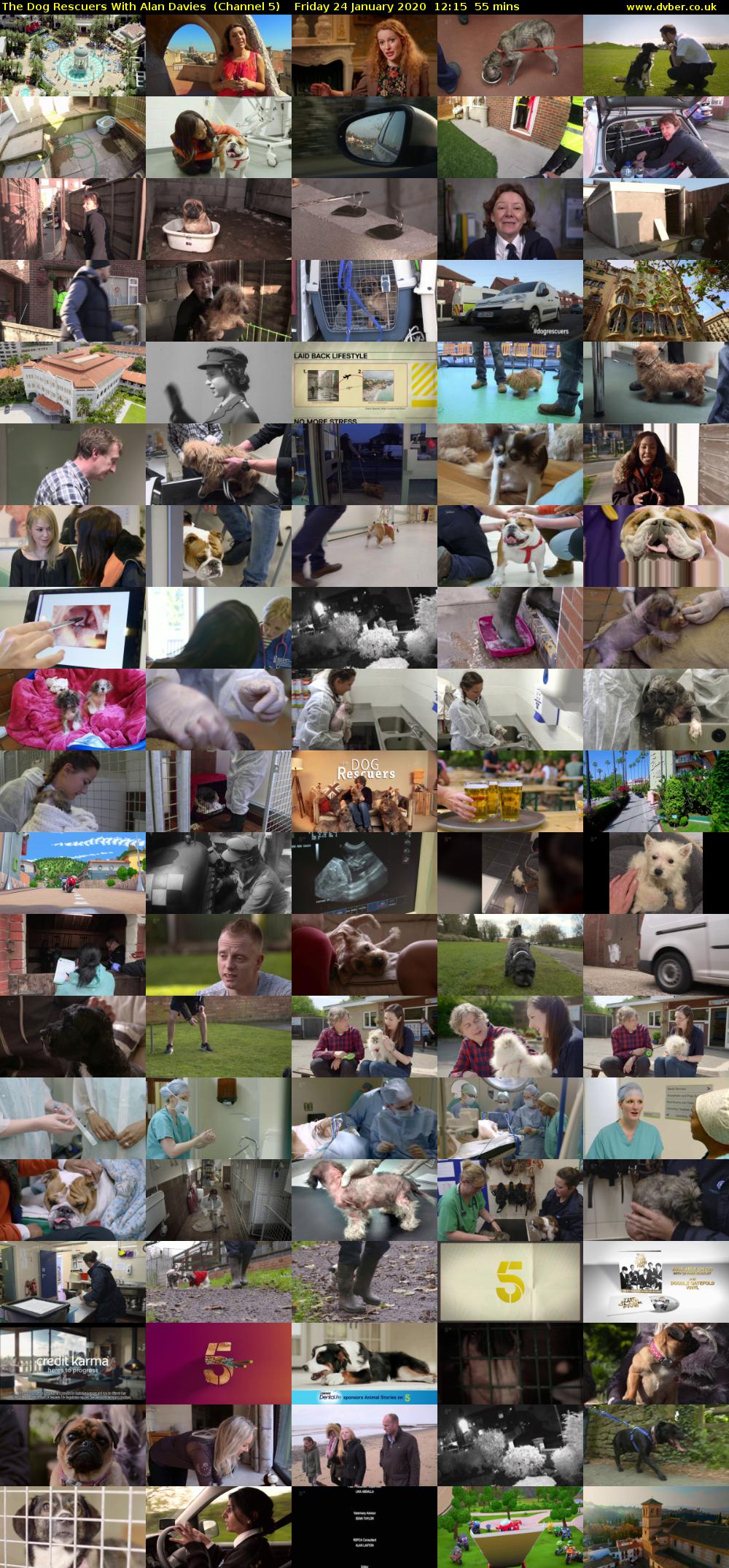 The Dog Rescuers With Alan Davies  (Channel 5) Friday 24 January 2020 12:15 - 13:10