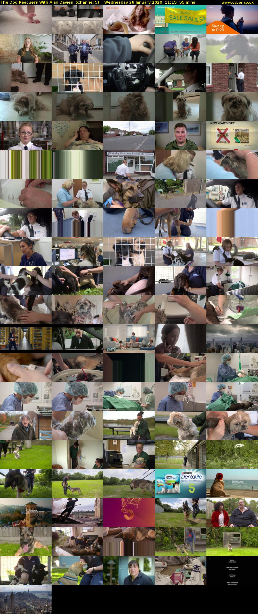 The Dog Rescuers With Alan Davies  (Channel 5) Wednesday 29 January 2020 11:15 - 12:10