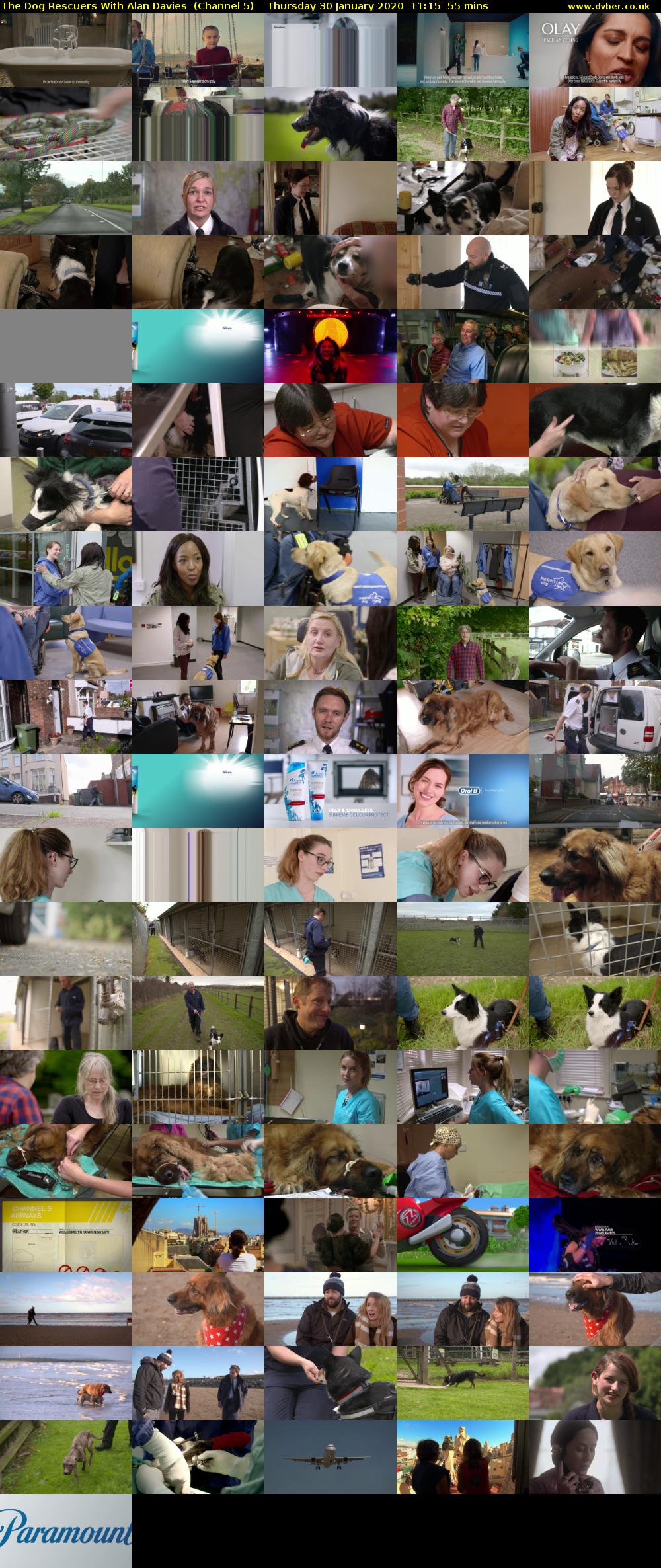 The Dog Rescuers With Alan Davies  (Channel 5) Thursday 30 January 2020 11:15 - 12:10