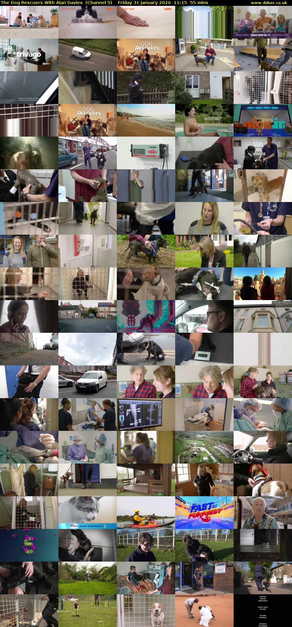 The Dog Rescuers With Alan Davies  (Channel 5) Friday 19 October 2018 16:00 - 13:10