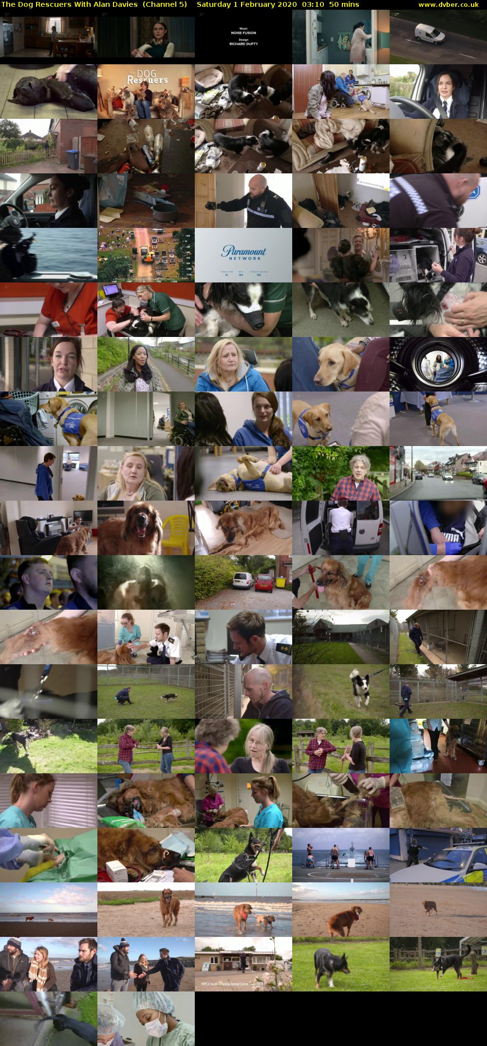The Dog Rescuers With Alan Davies  (Channel 5) Saturday 1 February 2020 03:10 - 04:00