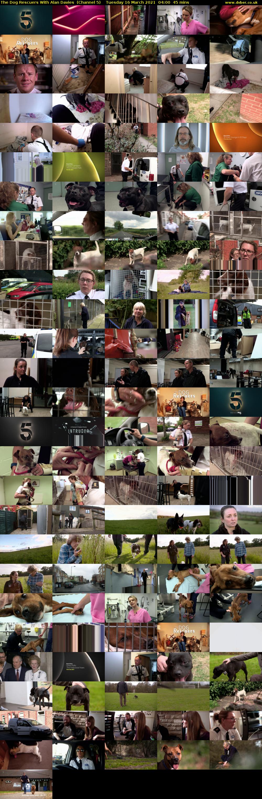The Dog Rescuers With Alan Davies  (Channel 5) Tuesday 16 March 2021 04:00 - 04:45