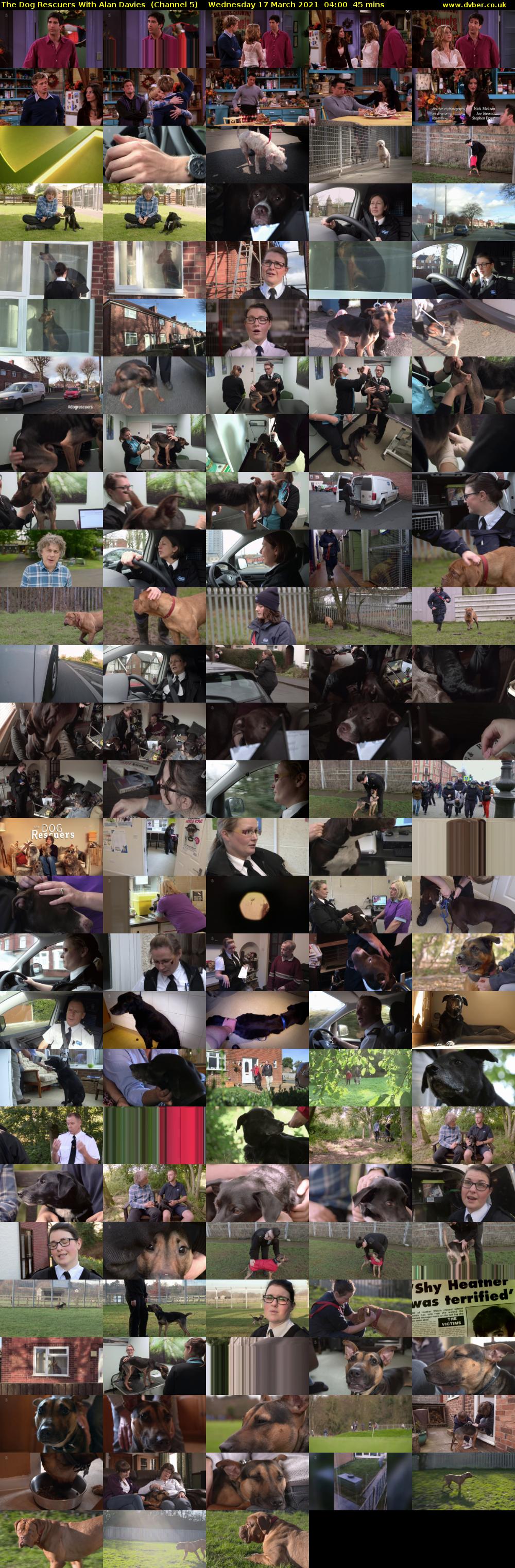 The Dog Rescuers With Alan Davies  (Channel 5) Wednesday 17 March 2021 04:00 - 04:45