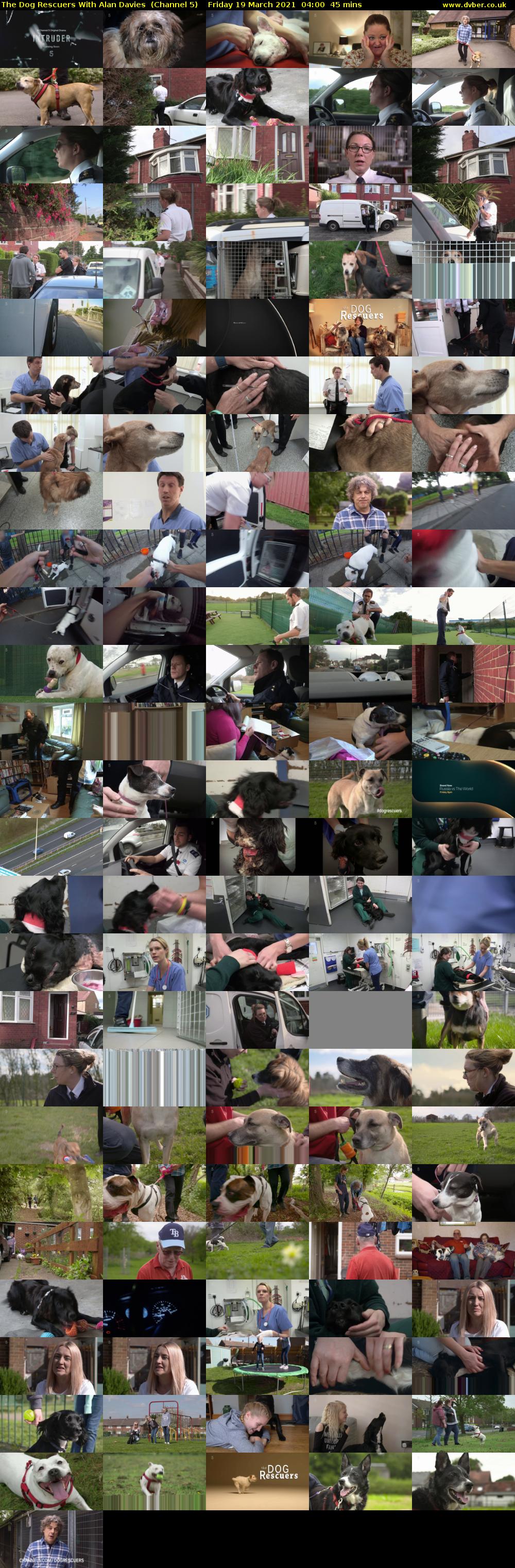 The Dog Rescuers With Alan Davies  (Channel 5) Friday 19 March 2021 04:00 - 04:45