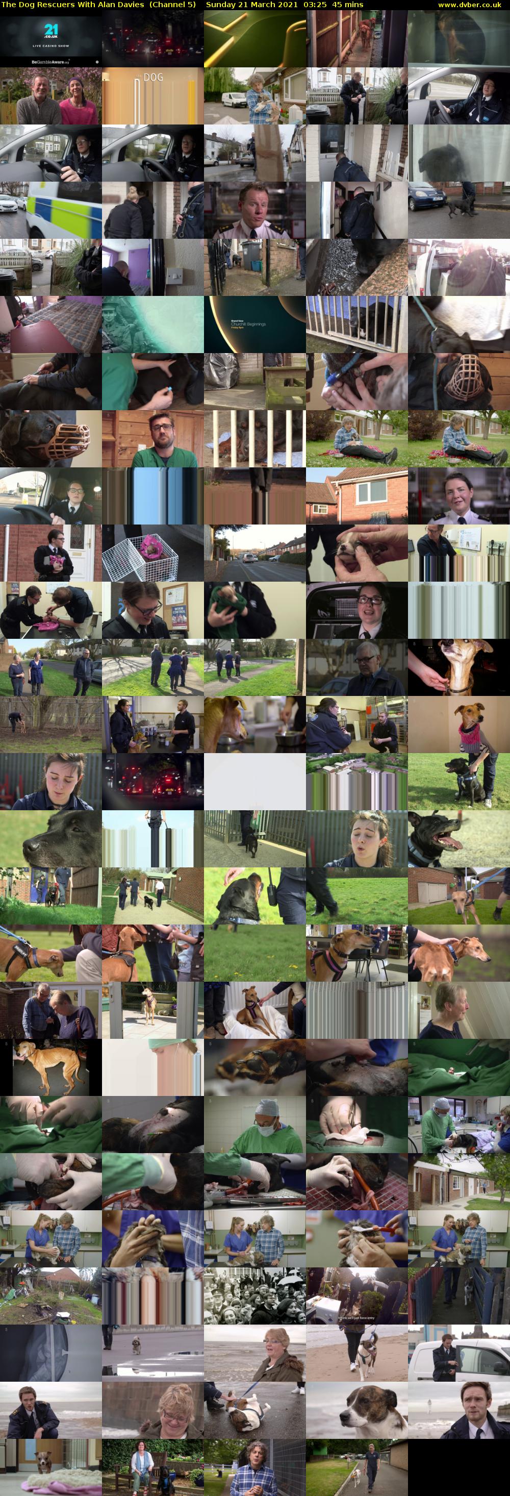The Dog Rescuers With Alan Davies  (Channel 5) Sunday 21 March 2021 03:25 - 04:10