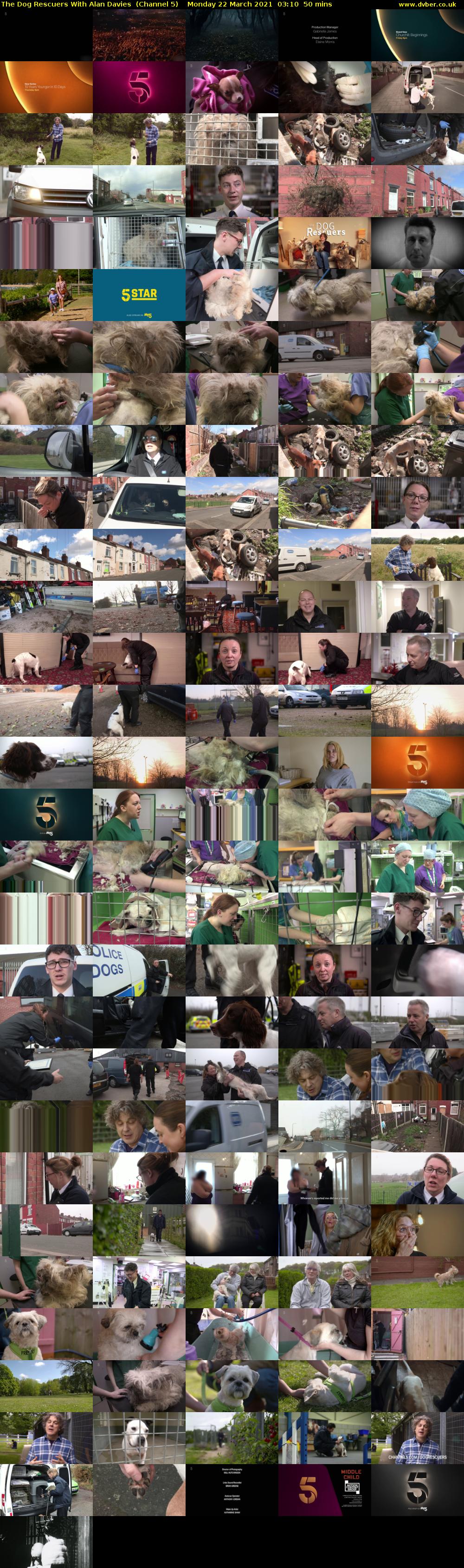 The Dog Rescuers With Alan Davies  (Channel 5) Monday 22 March 2021 03:10 - 04:00