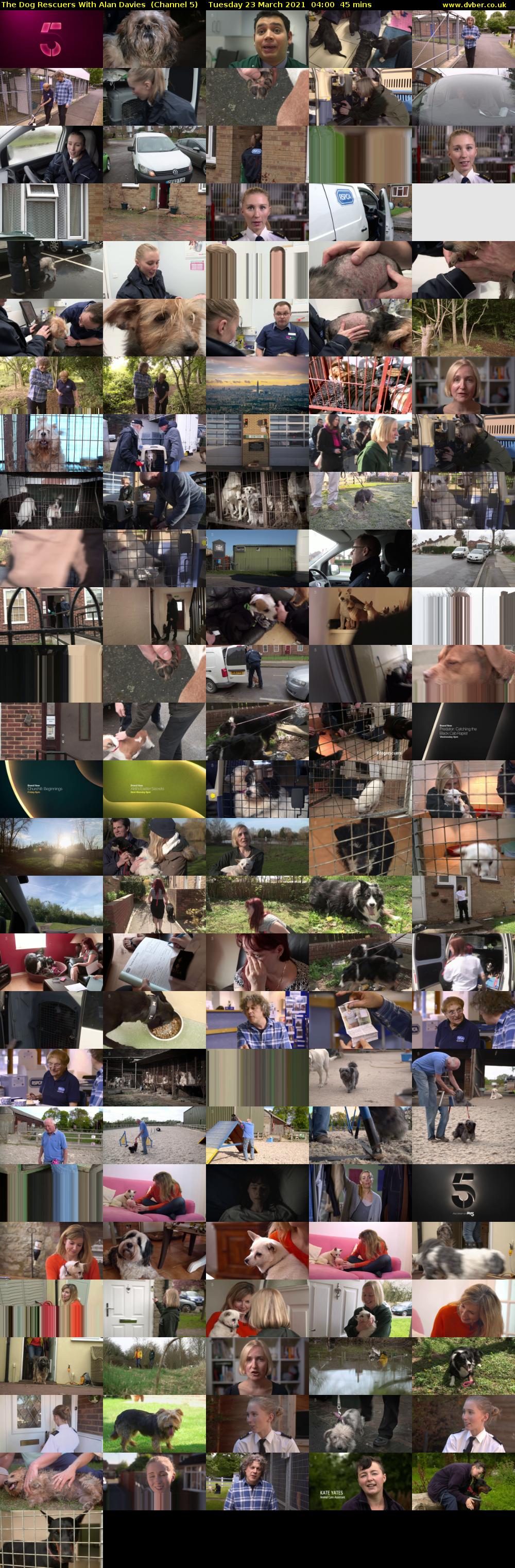 The Dog Rescuers With Alan Davies  (Channel 5) Tuesday 23 March 2021 04:00 - 04:45