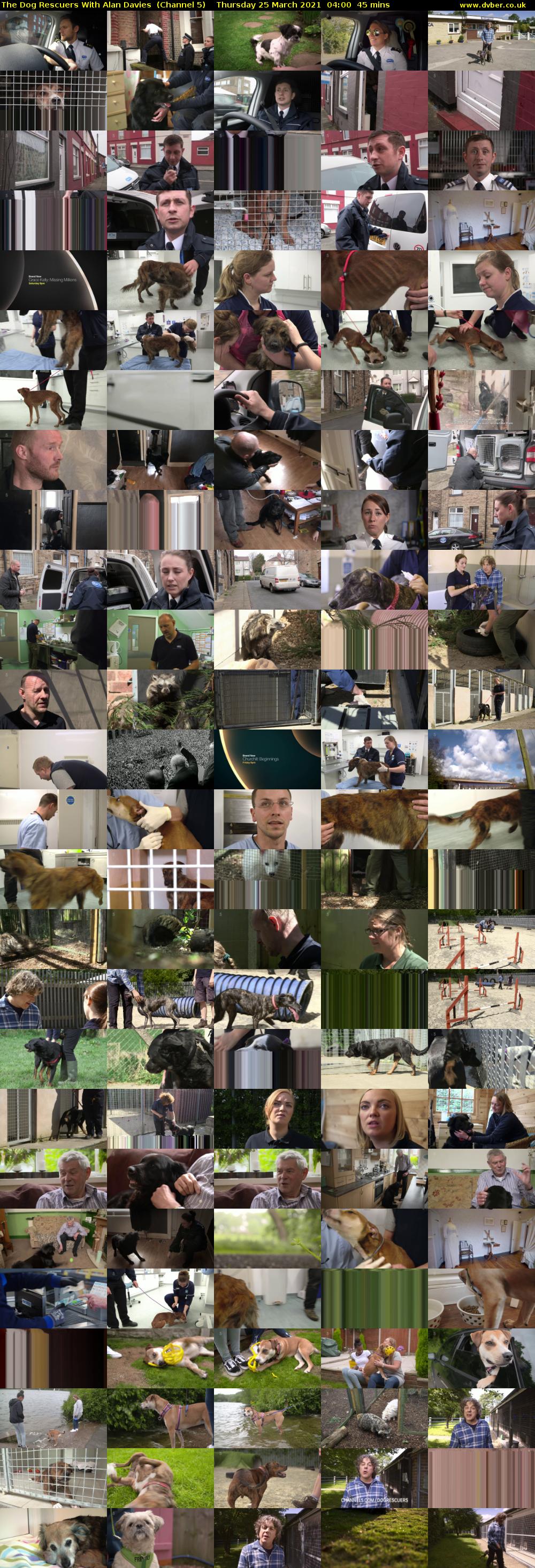 The Dog Rescuers With Alan Davies  (Channel 5) Thursday 25 March 2021 04:00 - 04:45