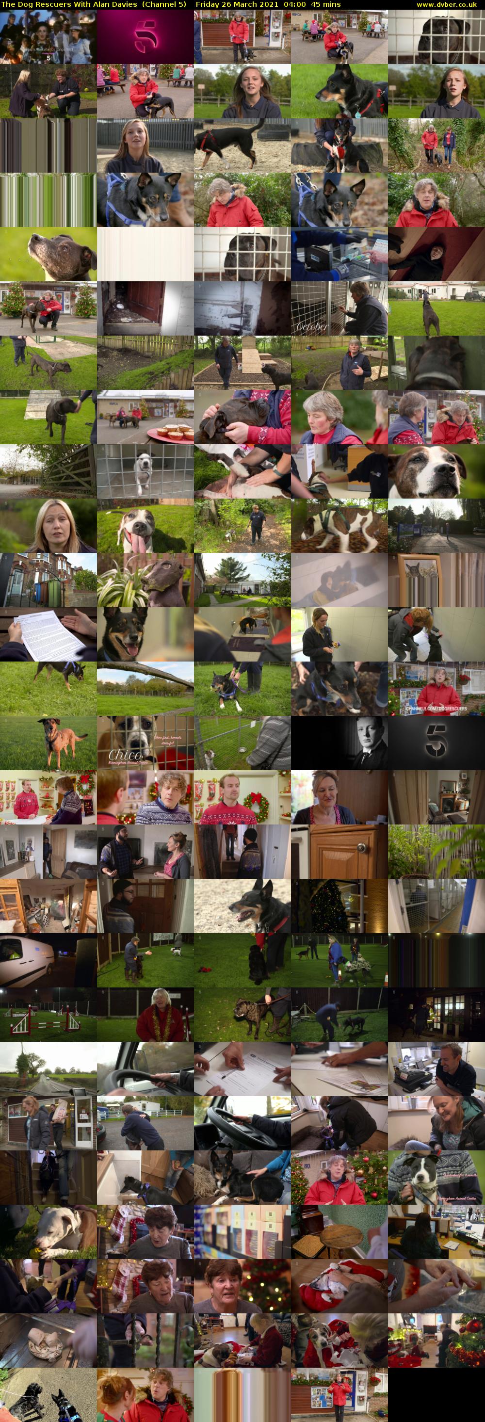 The Dog Rescuers With Alan Davies  (Channel 5) Friday 26 March 2021 04:00 - 04:45