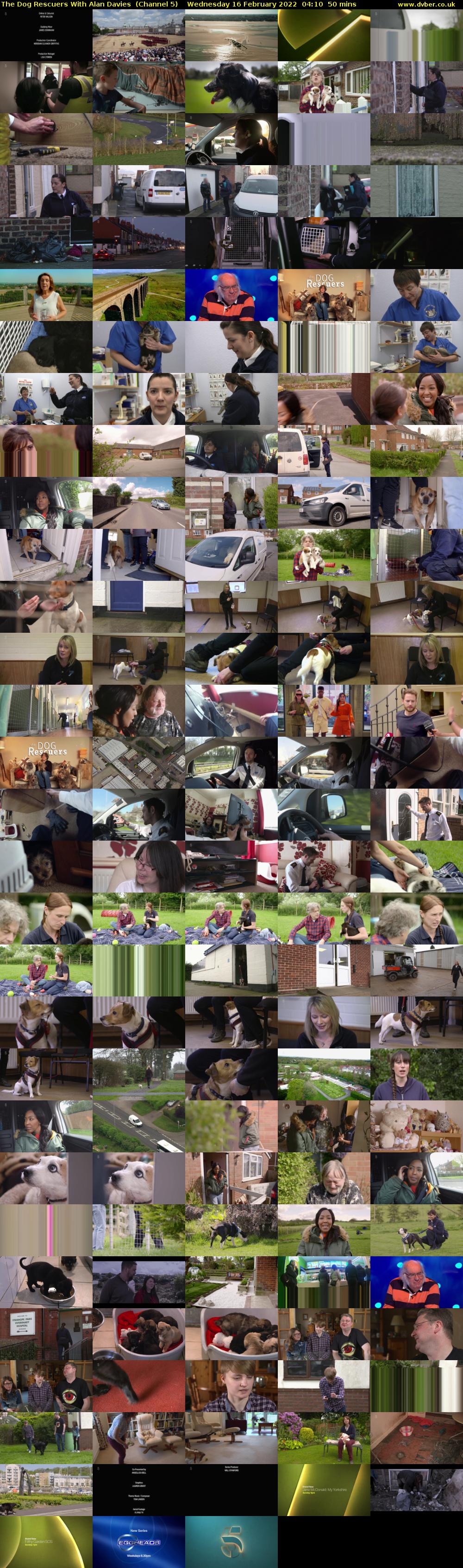 The Dog Rescuers With Alan Davies  (Channel 5) Wednesday 16 February 2022 04:10 - 05:00