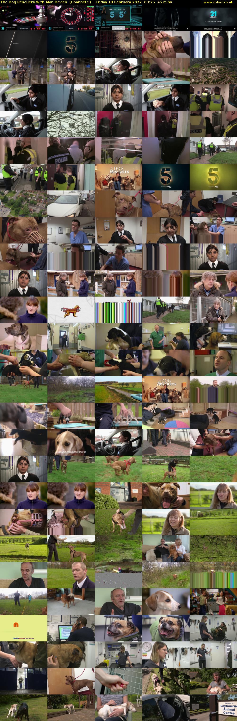 The Dog Rescuers With Alan Davies  (Channel 5) Friday 18 February 2022 03:25 - 04:10