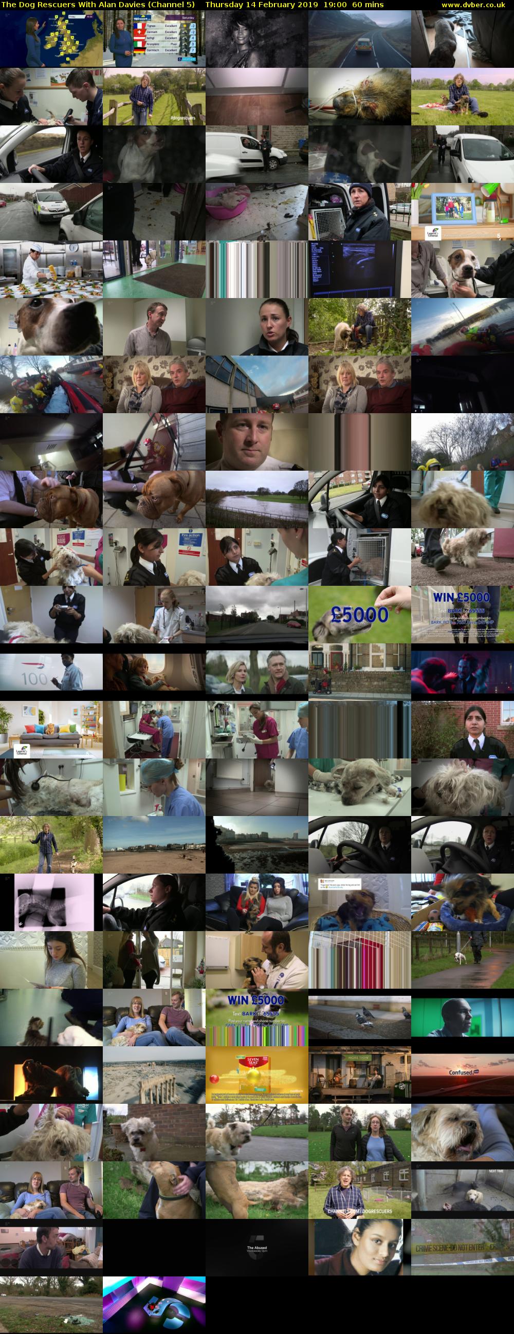 The Dog Rescuers With Alan Davies (Channel 5) Thursday 14 February 2019 19:00 - 20:00