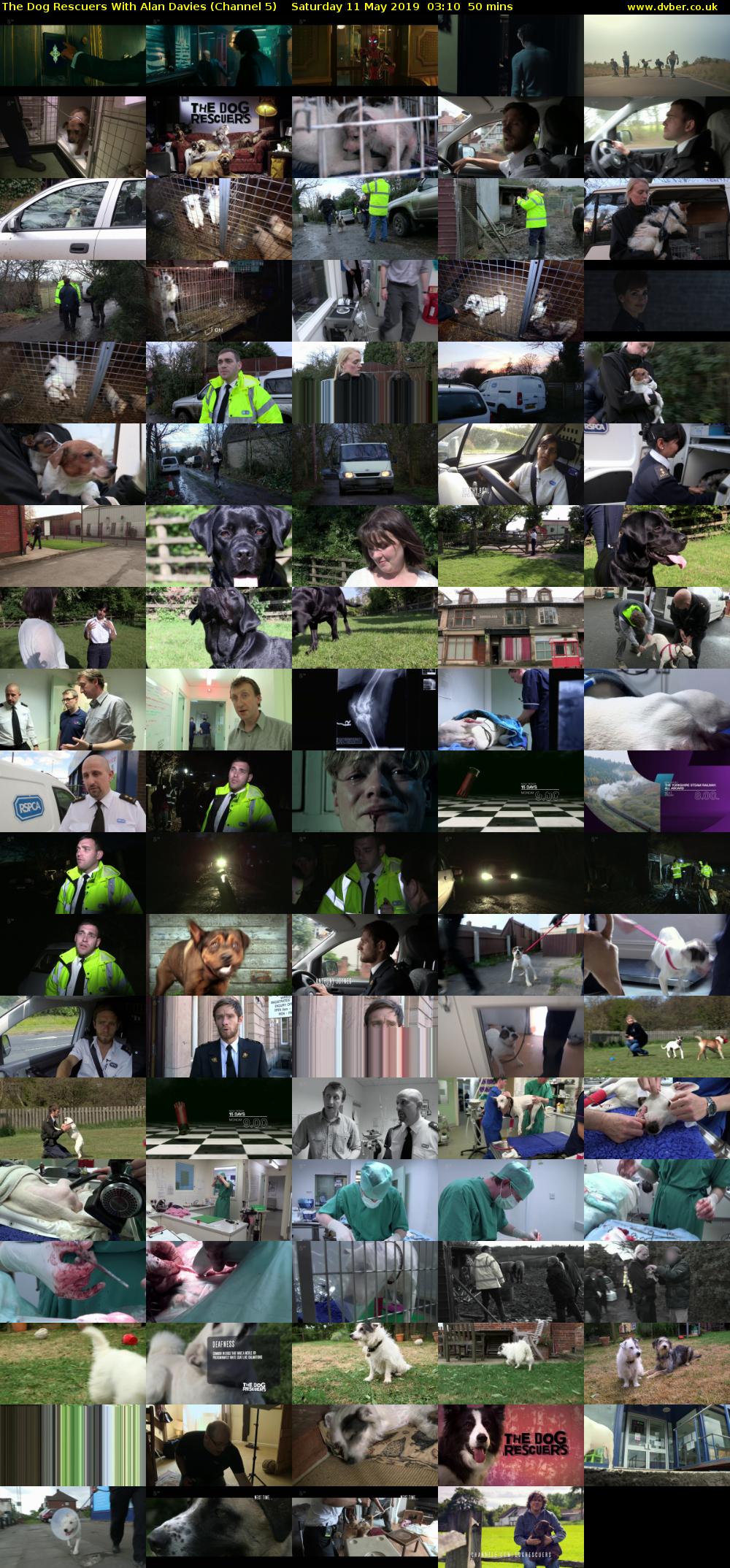 The Dog Rescuers With Alan Davies (Channel 5) Saturday 11 May 2019 03:10 - 04:00