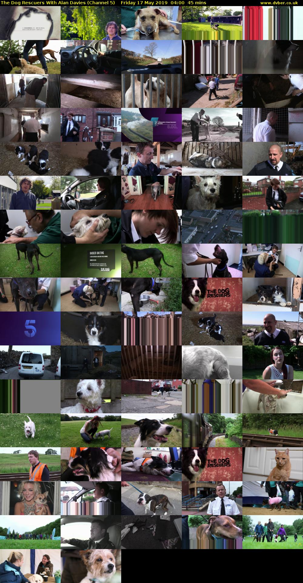 The Dog Rescuers With Alan Davies (Channel 5) Friday 17 May 2019 04:00 - 04:45