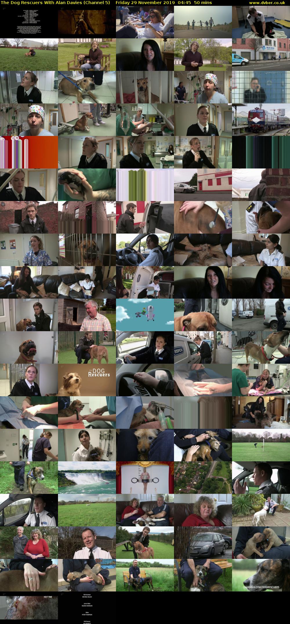 The Dog Rescuers With Alan Davies (Channel 5) Friday 29 November 2019 04:45 - 05:35