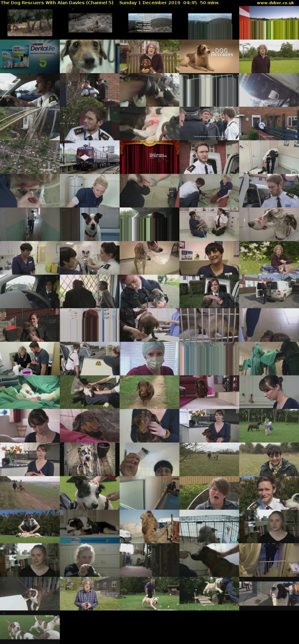 The Dog Rescuers With Alan Davies (Channel 5) Sunday 1 December 2019 04:45 - 05:35