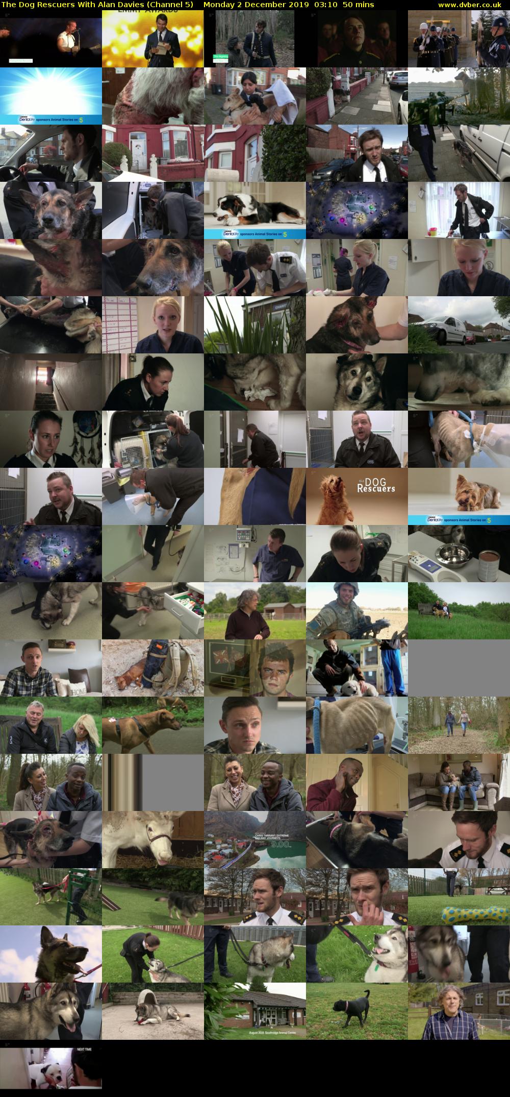 The Dog Rescuers With Alan Davies (Channel 5) Monday 2 December 2019 03:10 - 04:00