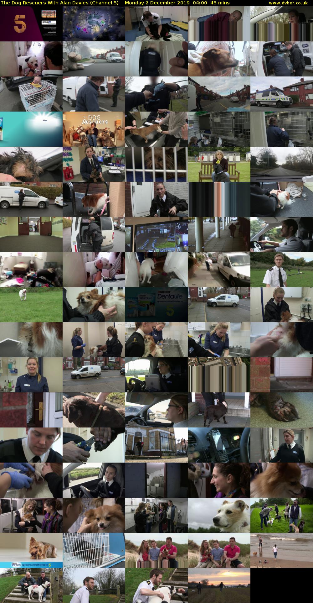 The Dog Rescuers With Alan Davies (Channel 5) Monday 2 December 2019 04:00 - 04:45
