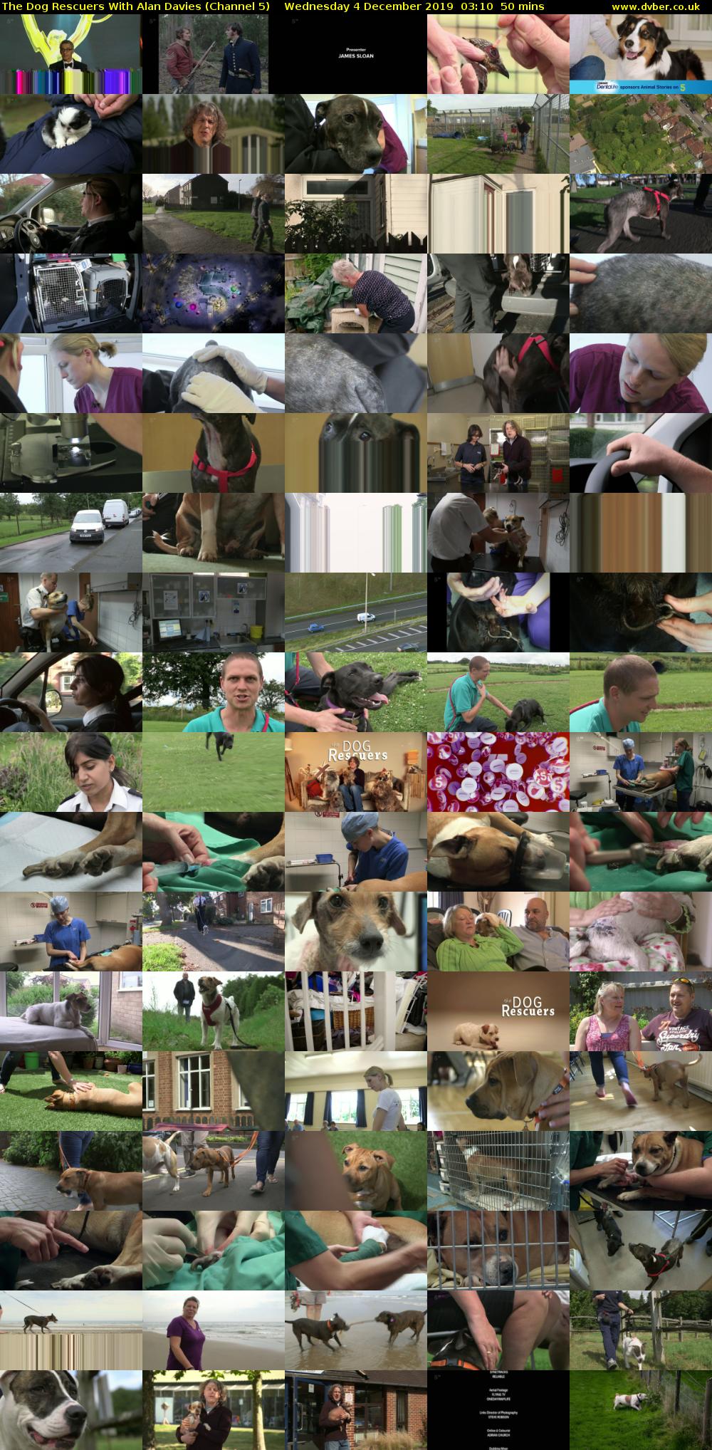 The Dog Rescuers With Alan Davies (Channel 5) Wednesday 4 December 2019 03:10 - 04:00