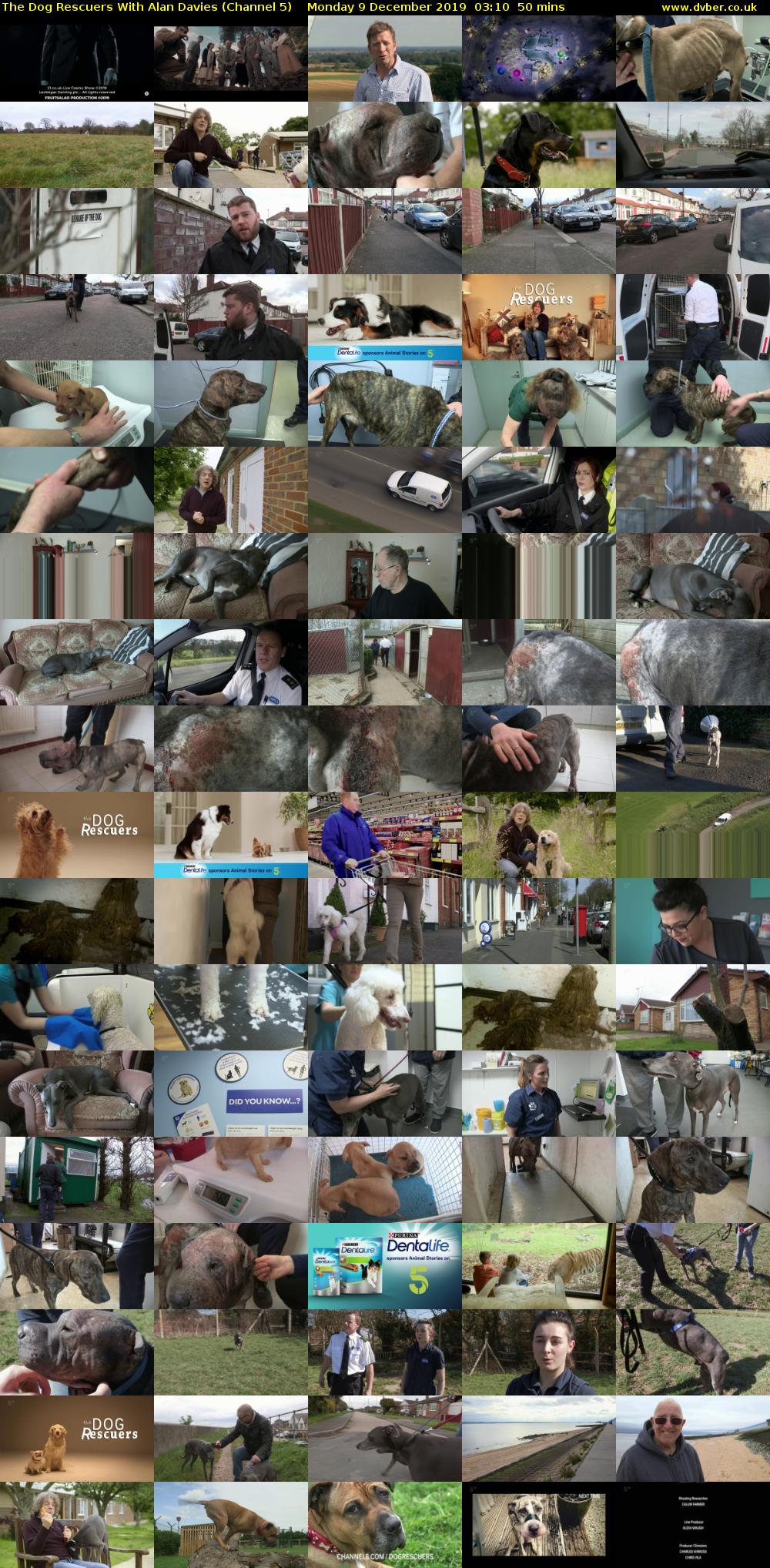 The Dog Rescuers With Alan Davies (Channel 5) Monday 9 December 2019 03:10 - 04:00
