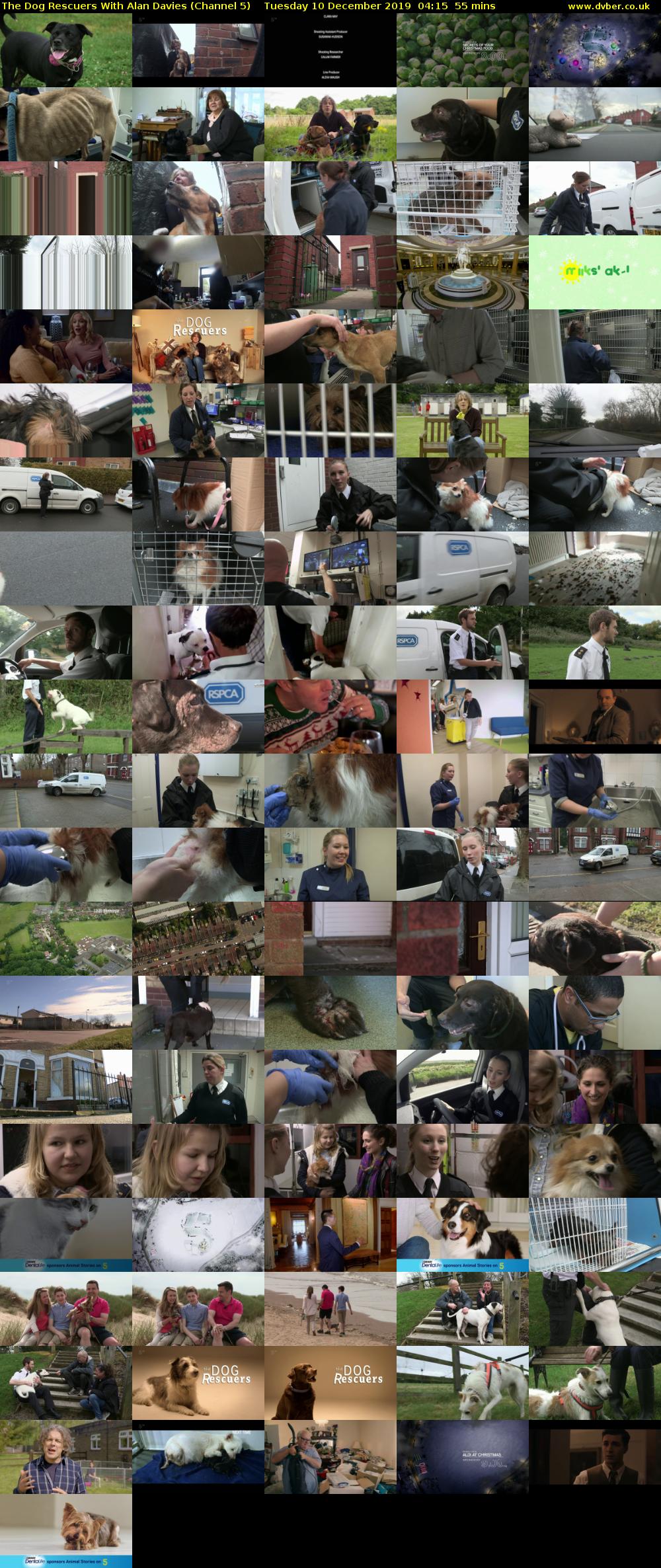 The Dog Rescuers With Alan Davies (Channel 5) Tuesday 10 December 2019 04:15 - 05:10
