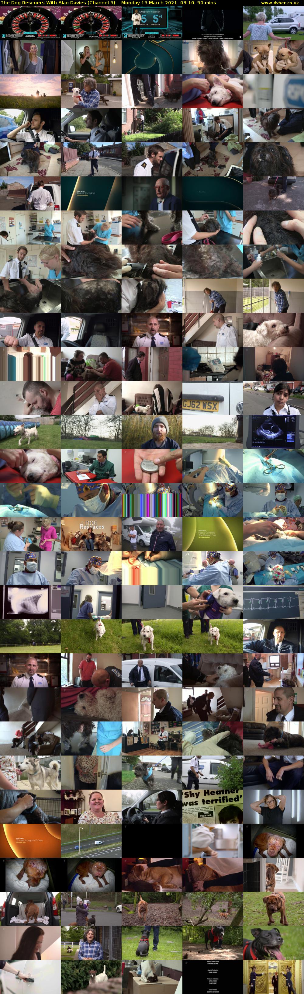 The Dog Rescuers With Alan Davies (Channel 5) Monday 15 March 2021 03:10 - 04:00