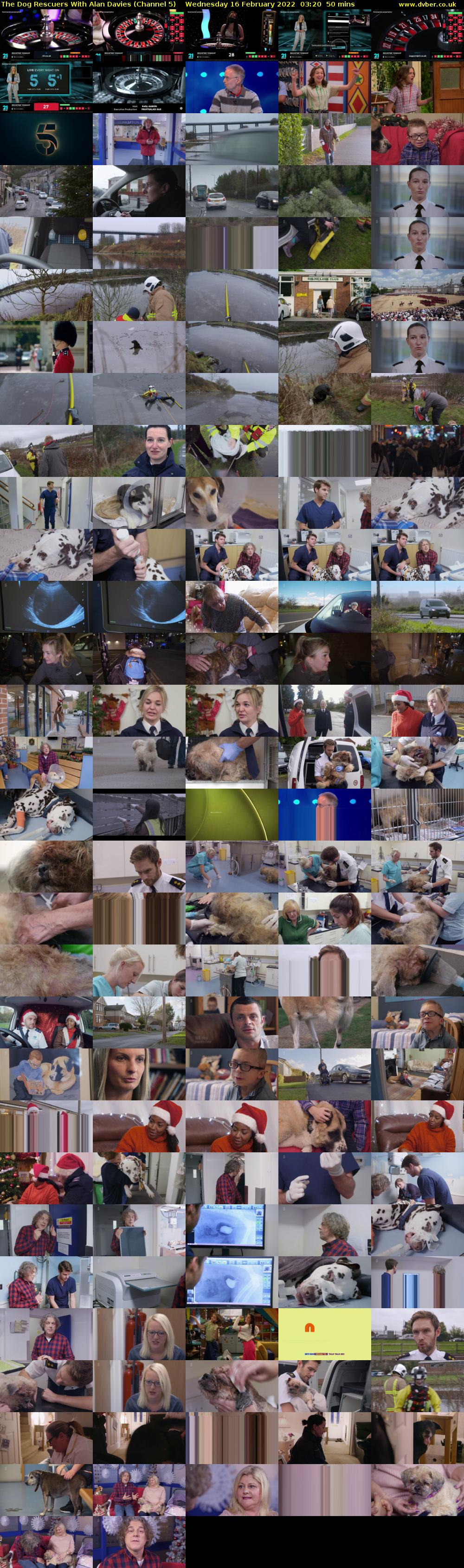 The Dog Rescuers With Alan Davies (Channel 5) Wednesday 16 February 2022 03:20 - 04:10